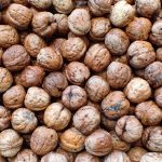 Unlock the Power of Nutrition: A Comprehensive Guide to Fueling Your Body