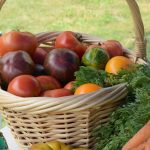 Unlocking the Power of Nutrition: A Comprehensive Guide to Fueling Your Body