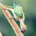 Title: The Ultimate Guide to Sustainable Weight Loss: Science‑Backed Strategies That Actually Work
